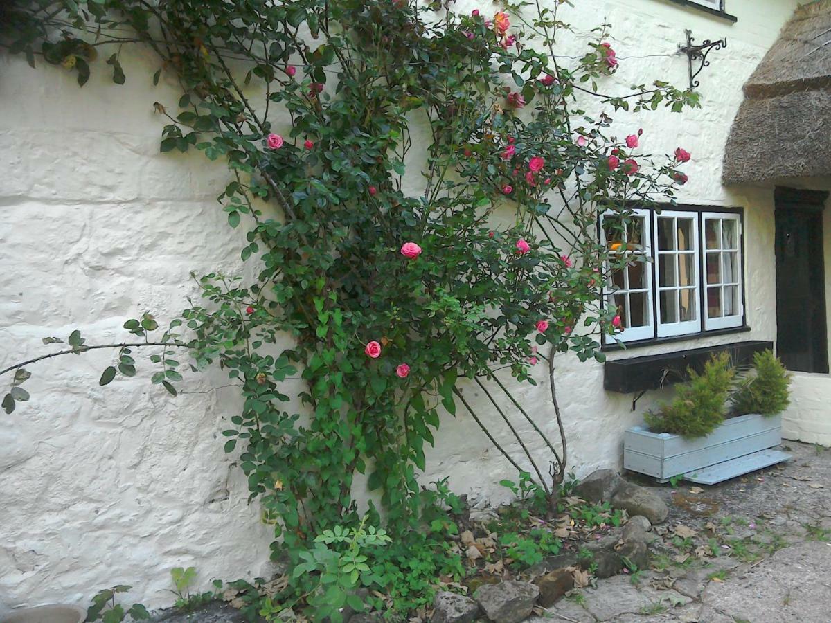 The Crown Inn Alvediston ภายนอก รูปภาพ