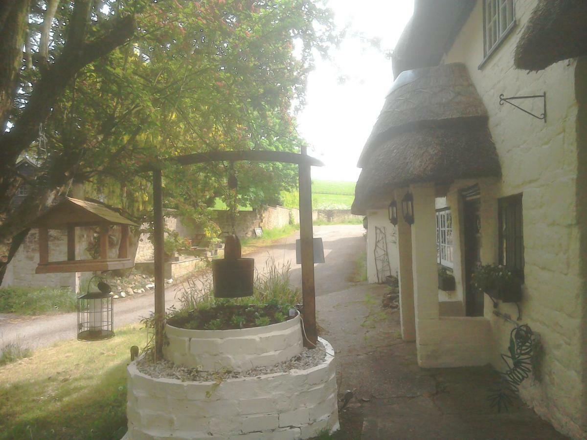 The Crown Inn Alvediston ภายนอก รูปภาพ