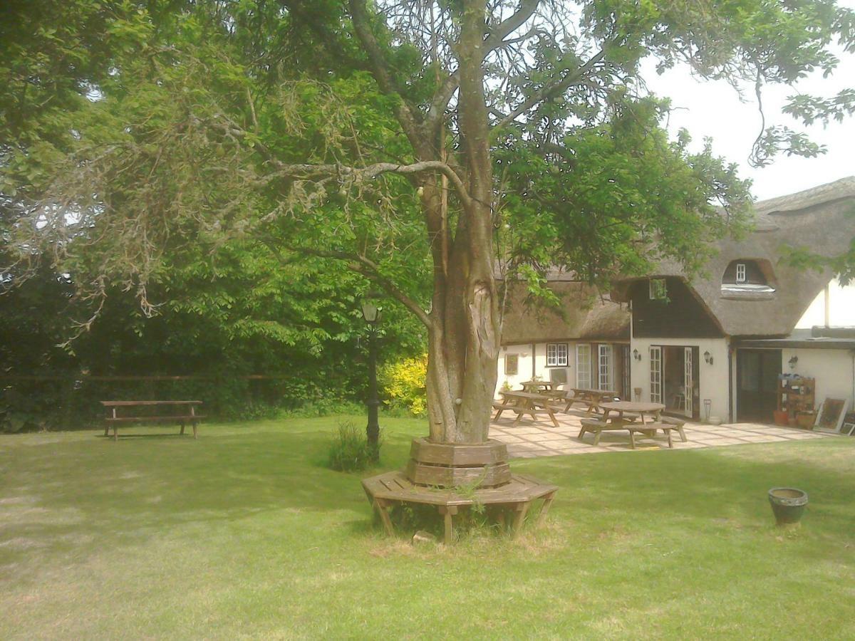 The Crown Inn Alvediston ภายนอก รูปภาพ
